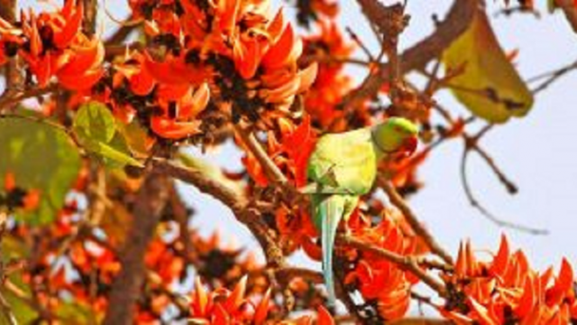 ভালোবাসা দিবস কেন্দ্রিক নয় সার্বজনীন হতে হবে…..