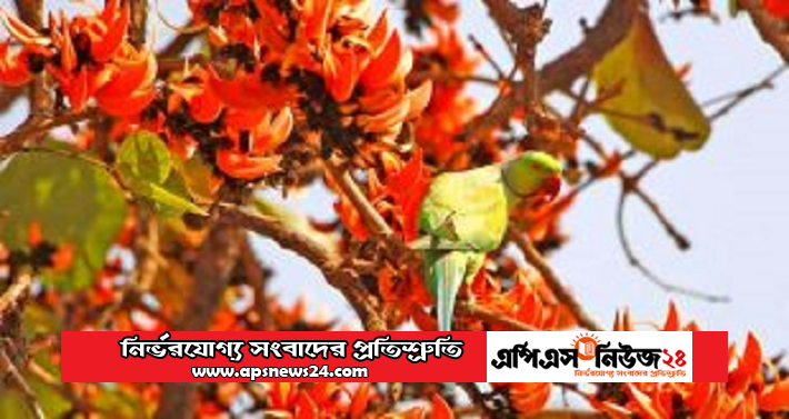 ভালোবাসা দিবস কেন্দ্রিক নয় সার্বজনীন হতে হবে…..