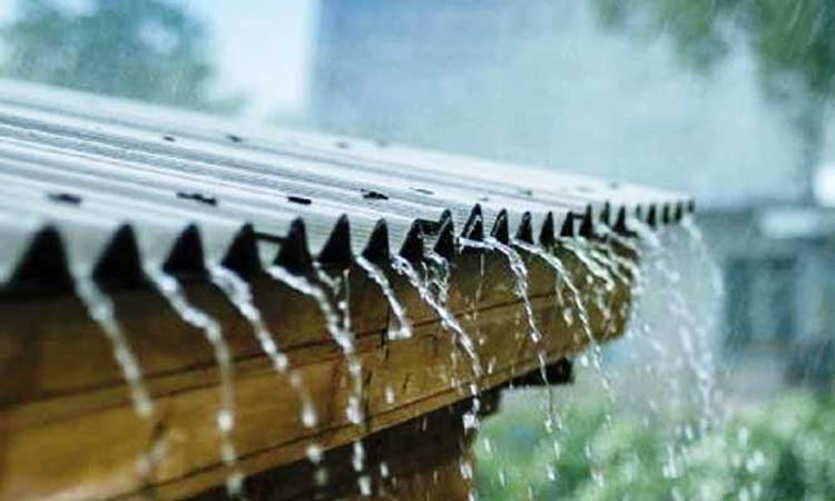 বৃষ্টি আল্লাহ তাআলার বড় নেয়ামত