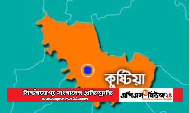কুষ্টিয়ায় ফেনসিডিল রাখার দায়ে ২ ভাইয়ের কারাদণ্ড