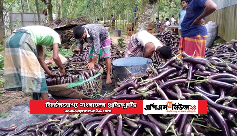রমজানের আগে কাঁচা মরিচ ও বেগুনের দাম বৃদ্ধিতে ক্রেতাদের ক্ষোভ